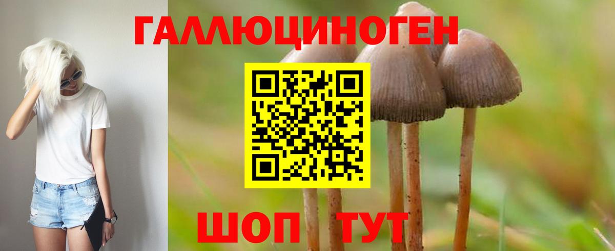 Новый Уренгой  Галлюциногенные грибы Cubensis  Вход с VPN 